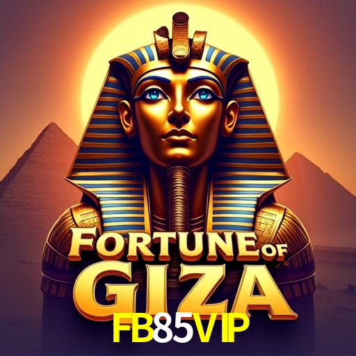 FB85VIP