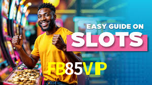 FB85VIP