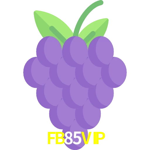 FB85VIP